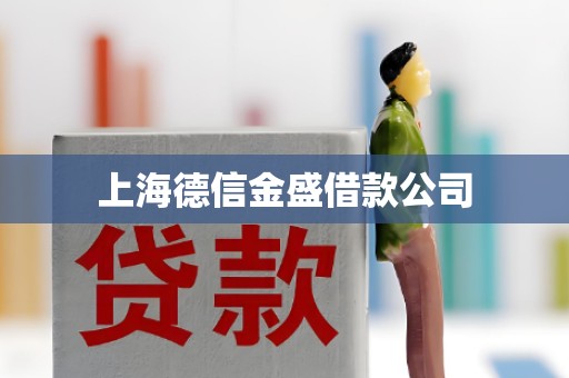 上海德信金盛借款公司