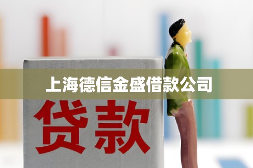  上海德信金盛借款公司