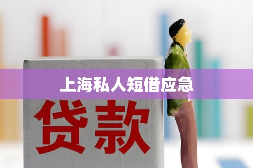 上海私人短借应急