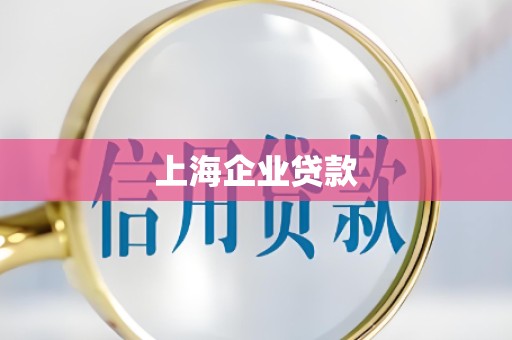 上海企业贷款 上海企业贷款
