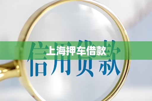 上海押车借款 上海押车借款